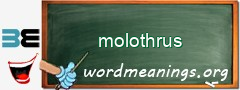 WordMeaning blackboard for molothrus